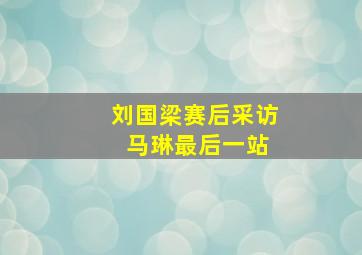 刘国梁赛后采访 马琳最后一站